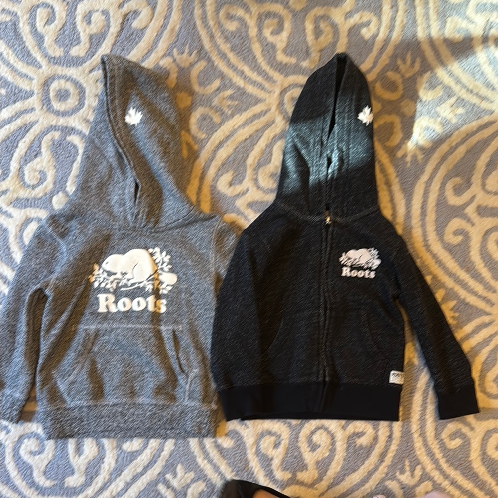 Roots Gray Hoodie Sweatshirt
